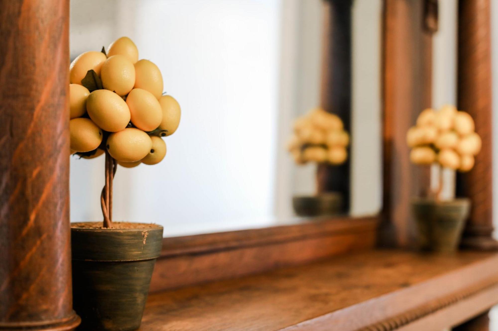 Apartamento Oglethorpe